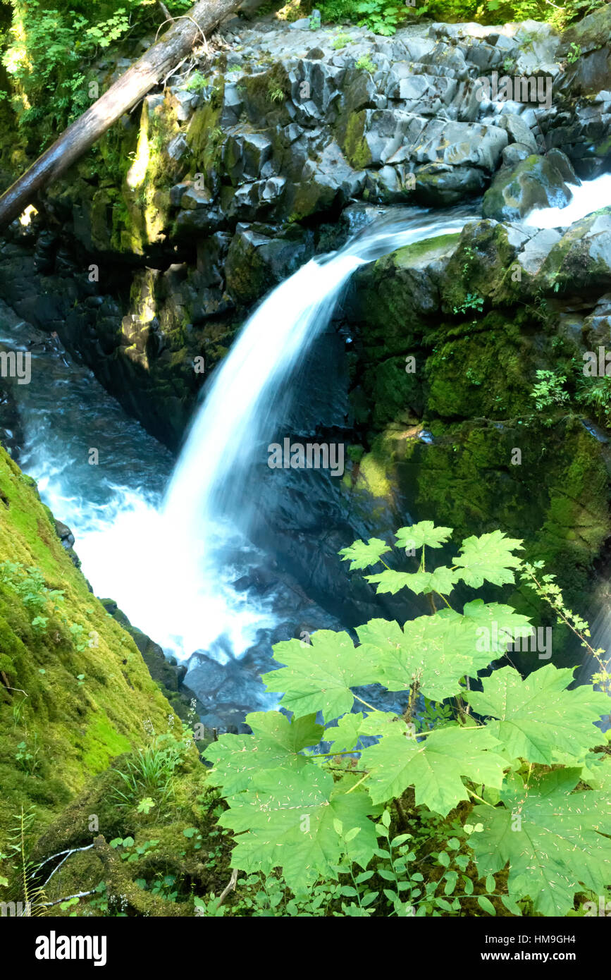 Sol Duc waterfalls in  Olympic Peninsula.USA 1. Stock Photo