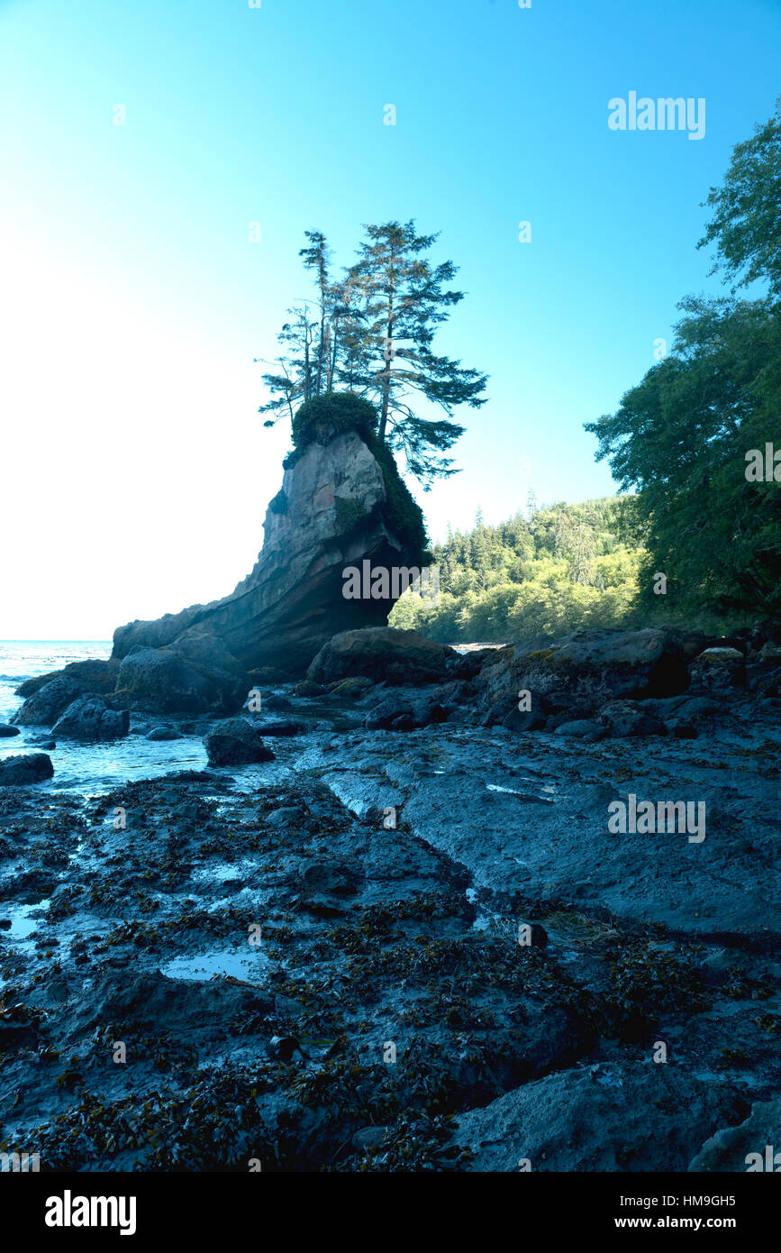 Beautiful No name Sea stack near   Olympic Peninsula.USA 3. Stock Photo