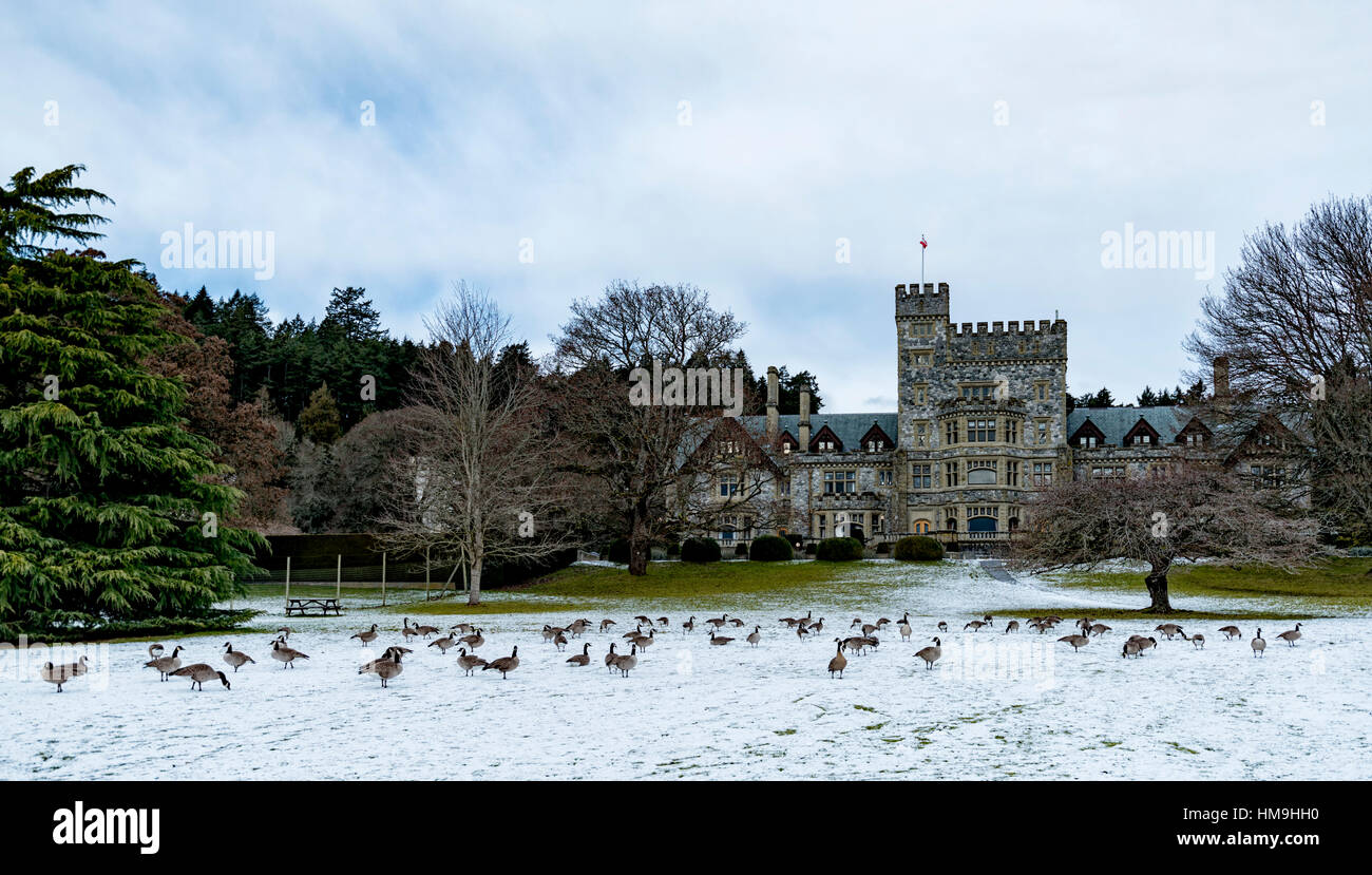 Canada National Historic Building - Garden side of Hatley Castle  full view with Canada goose 1. Stock Photo