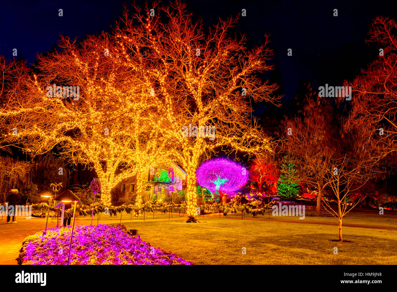 National Historic Site in Vancouver Island Amazing Christmas Tree
