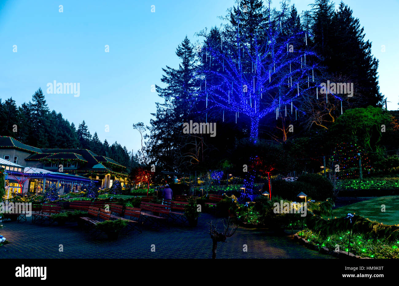 National Historic Site in Vancouver Island Beautiful Christmas lighting in The Butchart