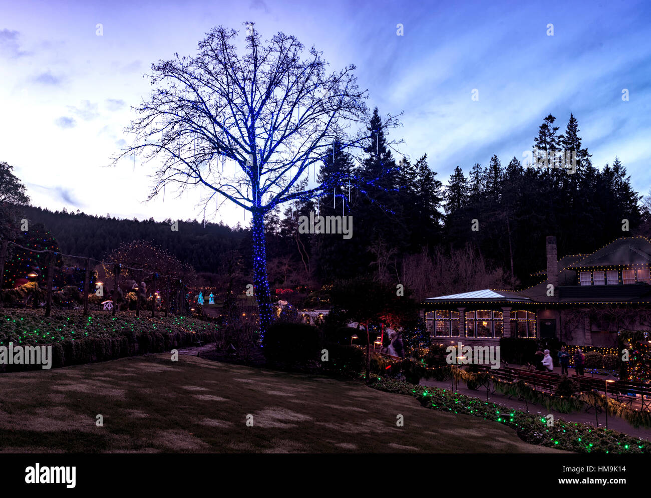 National Historic Site in Vancouver Island Christmas lighting in The Butchart Gardens 3 Stock