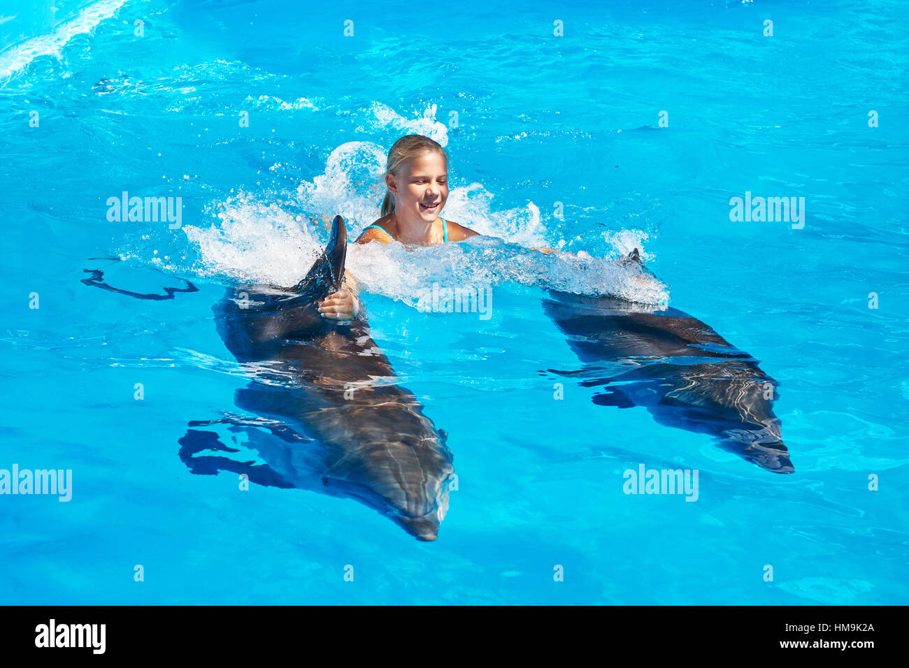 Girl swims with dolphins in the pool Stock Photo