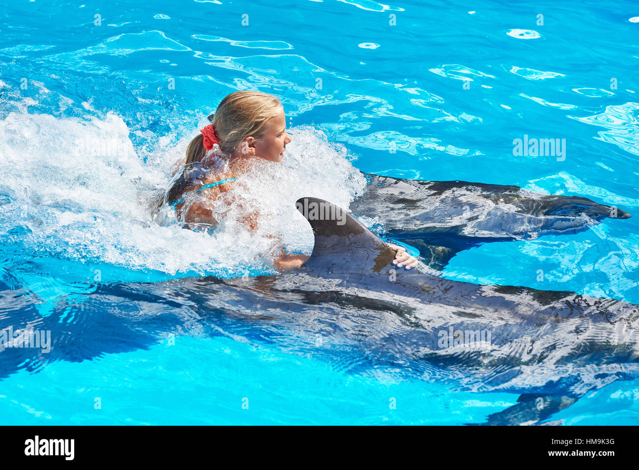 Girl swims with dolphin in the pool Stock Photo