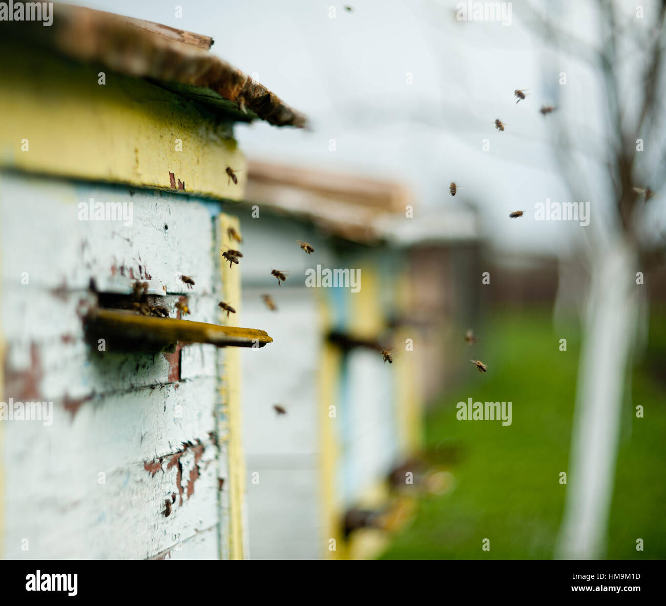 The bee hive house hi-res stock photography and images - Alamy