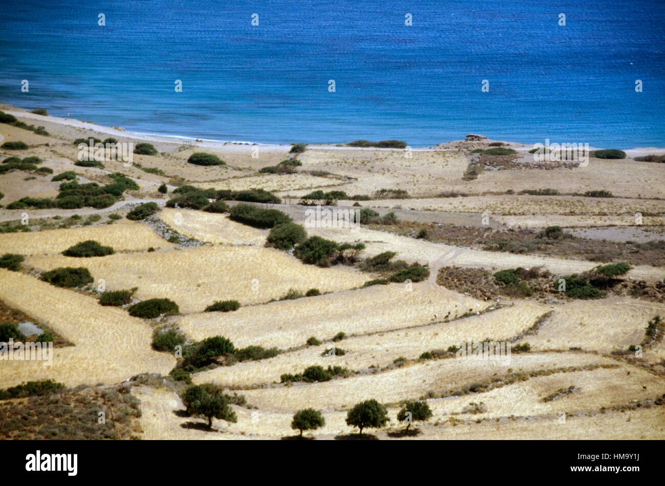 Cultivated fields near the sea, Roussolakos, Palekastro, Crete, Greece. Stock Photo