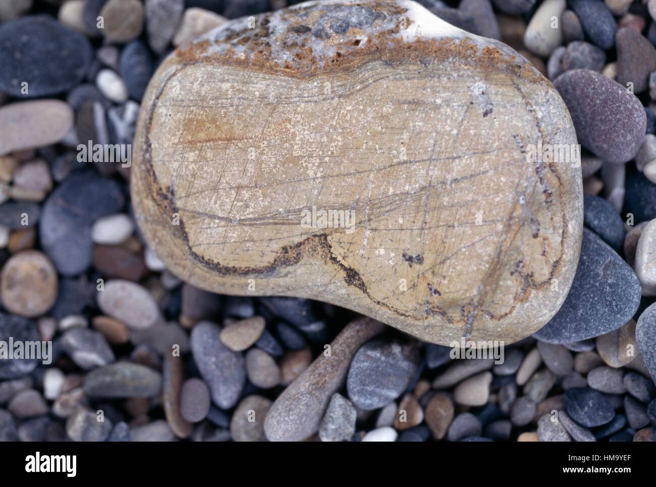 Mottled rock, Krios beach, Crete, Greece Stock Photo - Alamy