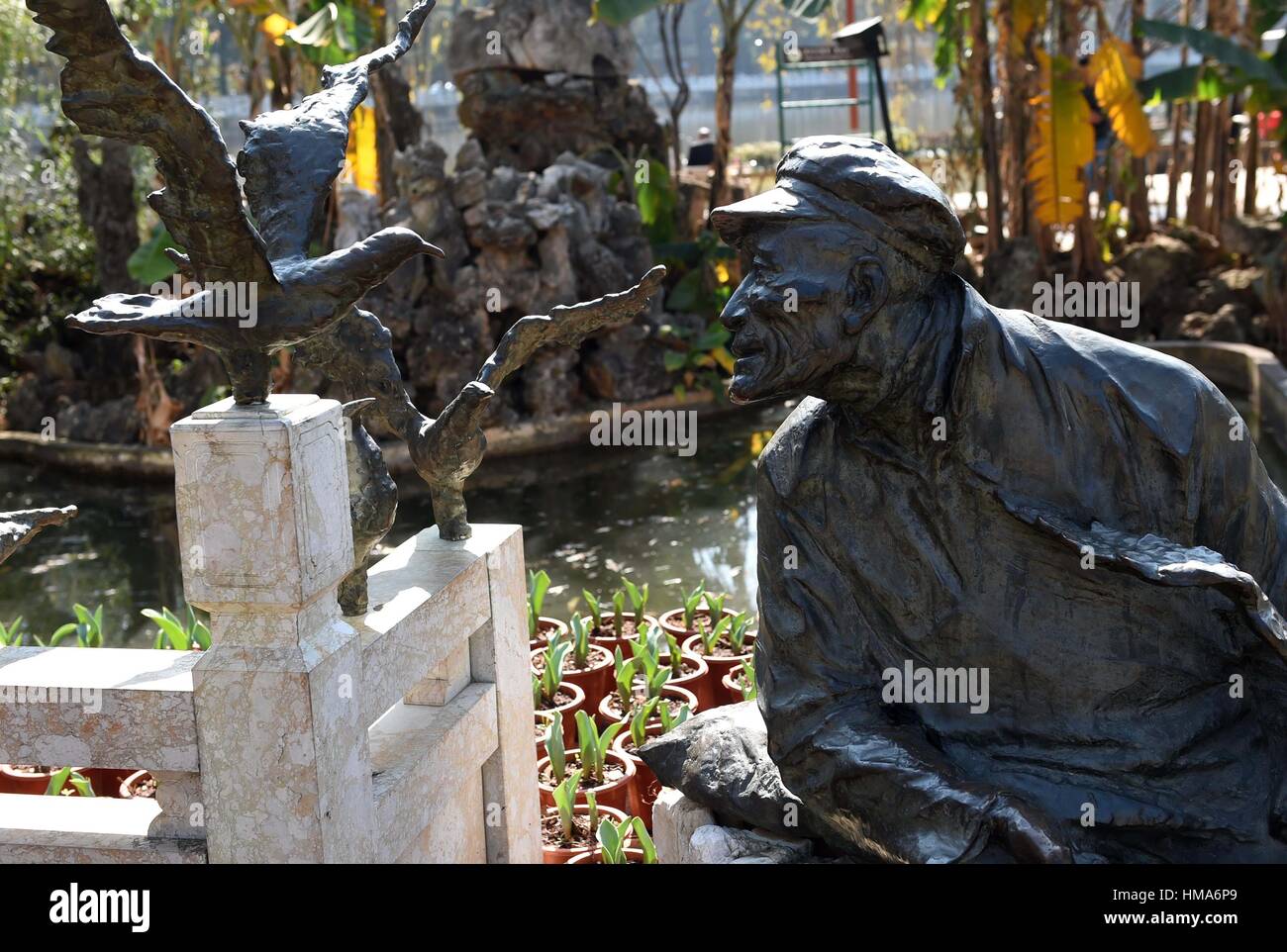 Kunming. 26th Jan, 2017. Photo taken on Jan. 26, 2017 shows sculptures of gulls and a man at Cuihu Park in Kunming, capital of southwest China's Yunnan Province. Tens of thousands of black-headed gulls fly to Kunming from northern China every winter in the past 32 years. Credit: Lin Yiguang/Xinhua/Alamy Live News Stock Photo