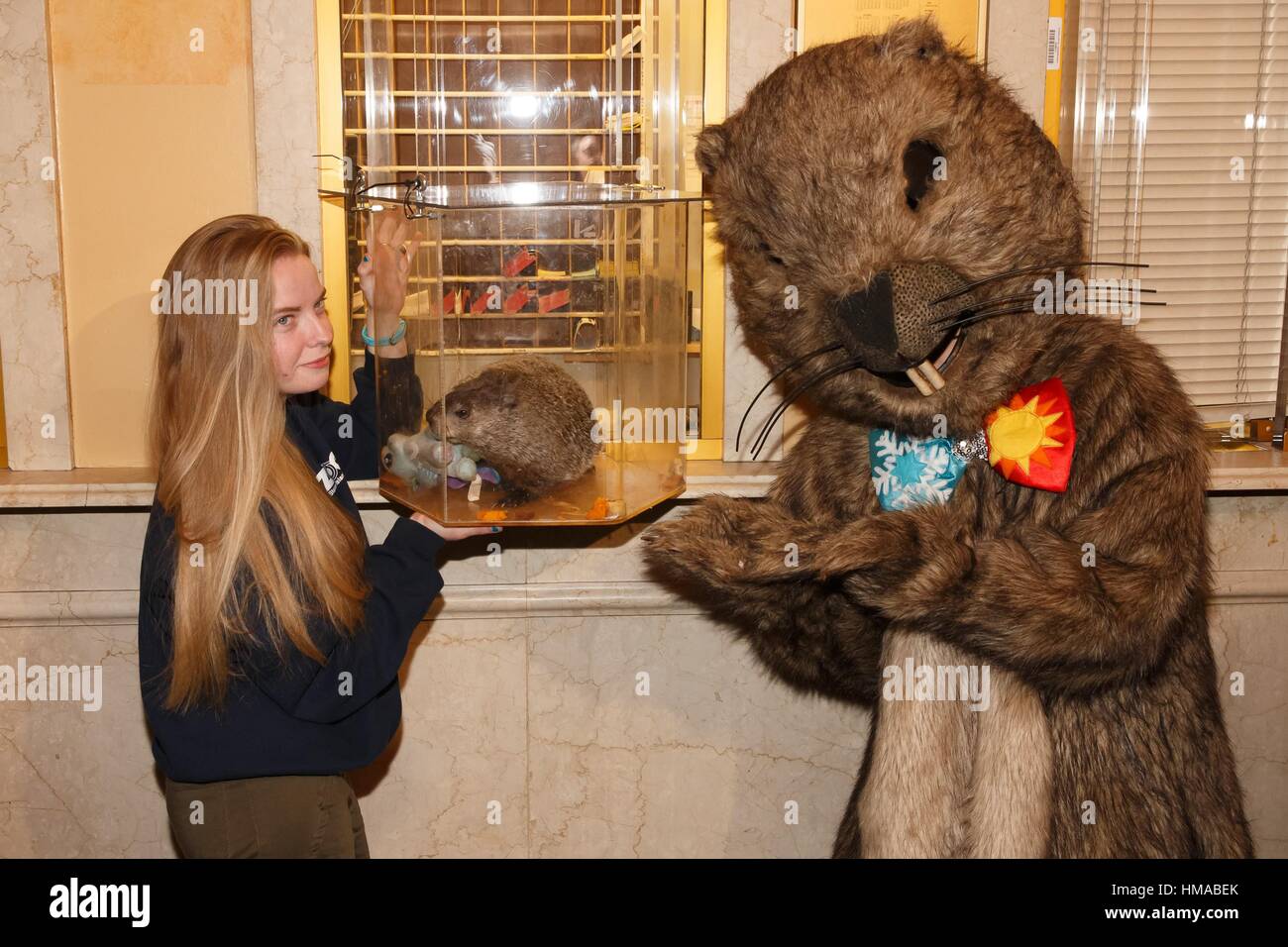 Staten island chuck groundhog hi-res stock photography and images - Alamy