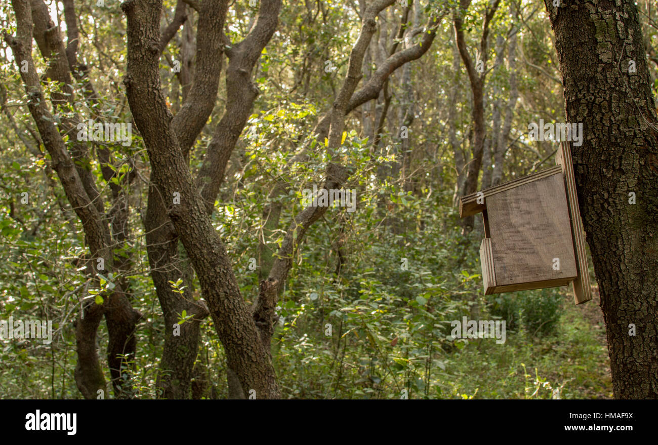 Bird nesting box in the woods Stock Photo Alamy