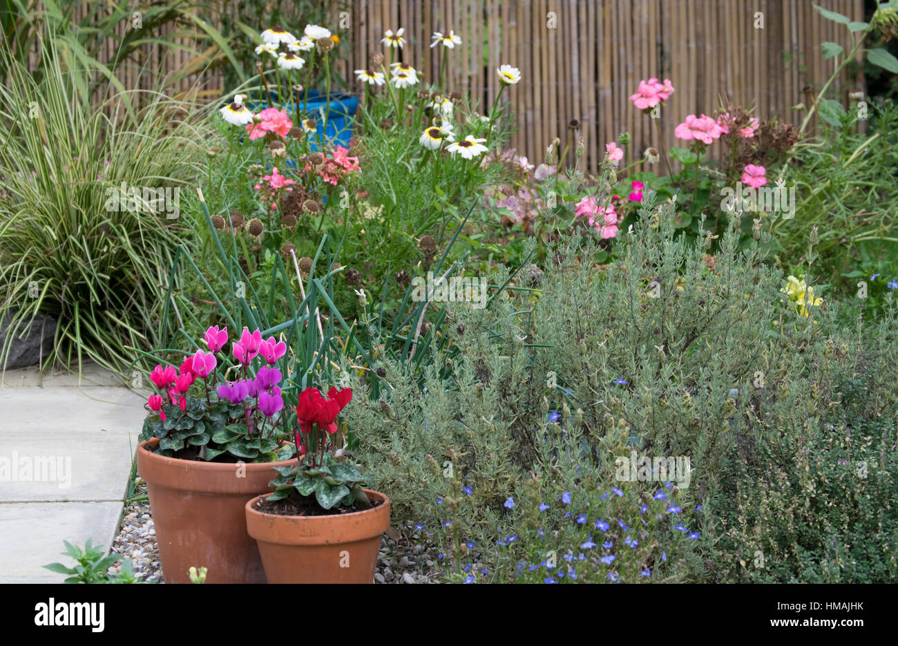 Flower bed and border Stock Photo Alamy