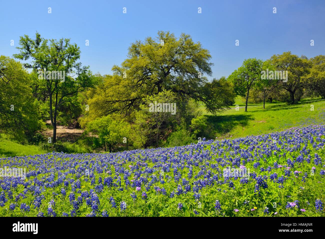 Roadside Texas New Braunfels, Texas, USA Stock Photo Alamy