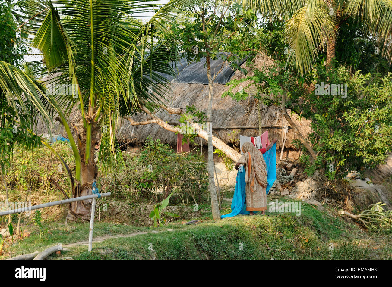 Sundarbans Jungle National Park in India. The bigest delta river on the