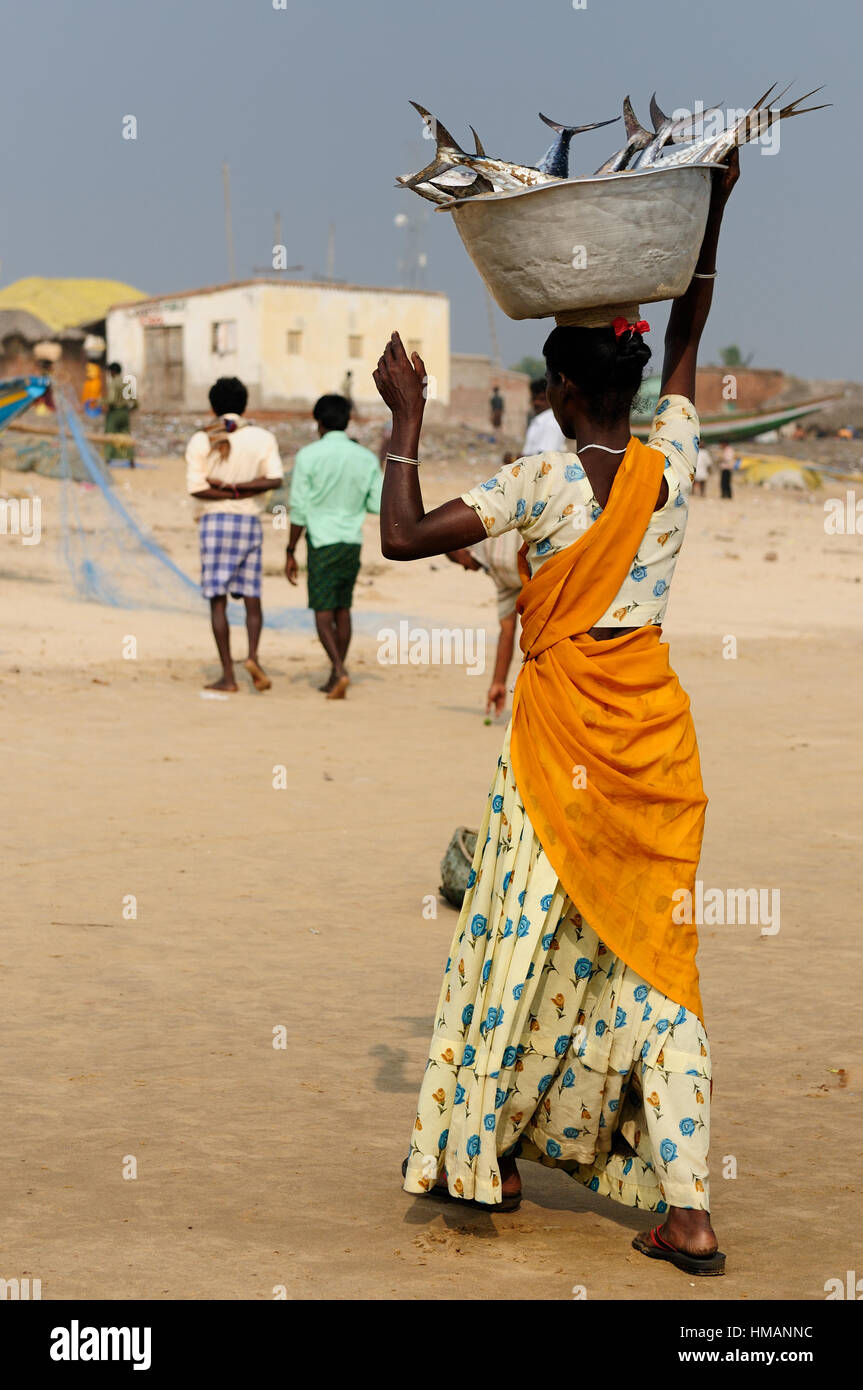 Woman with full dish crab on the head on a beach in Orissa, India Stock Photo