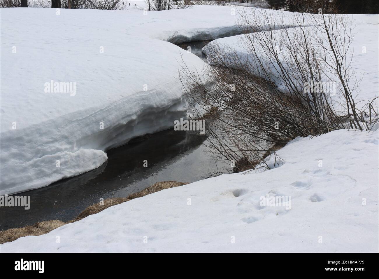 A partially frozen creek flows beneath the frozen snow on a cold winter