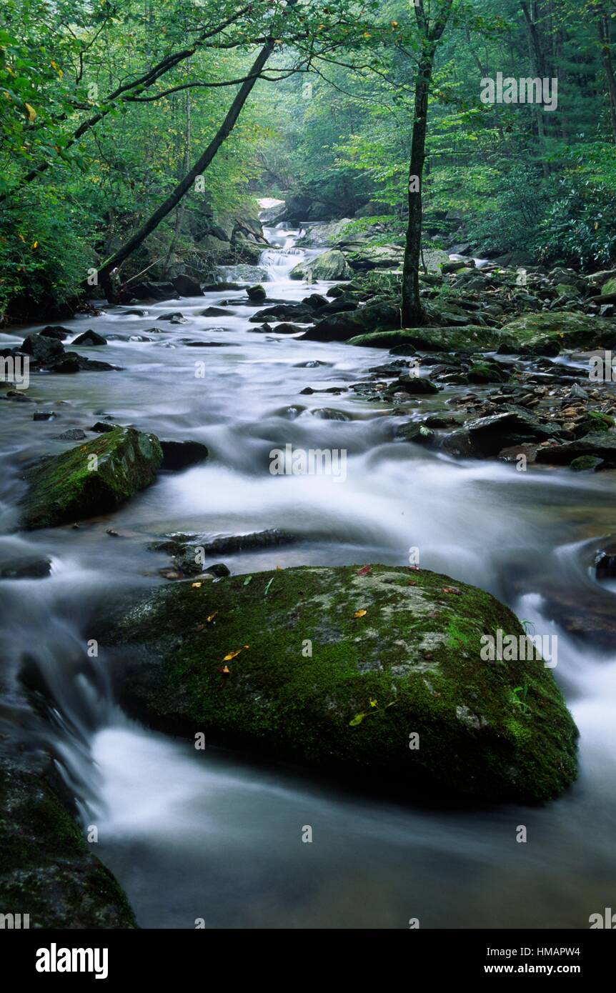 Cold Springs Creek, Pisgah National Forest, North Carolina Stock Photo