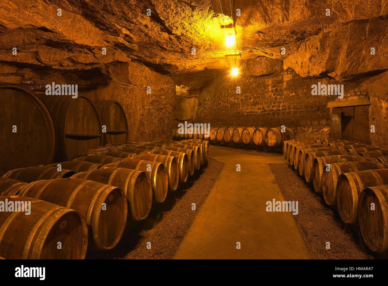 Wine Cellar, Cave Monplaisir, Chinon, Indre-et-Loire, Pays de la Loire,  Loire Valley, UNESCO World Heritage Site, France Stock Photo - Alamy