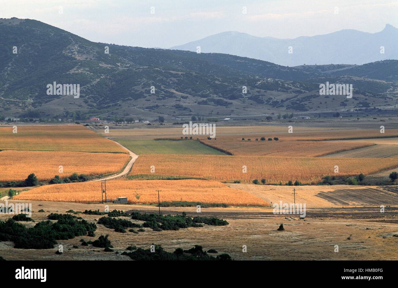 Cultivated fields on the plain of Elassona, Thessaly, Greece. Stock Photo