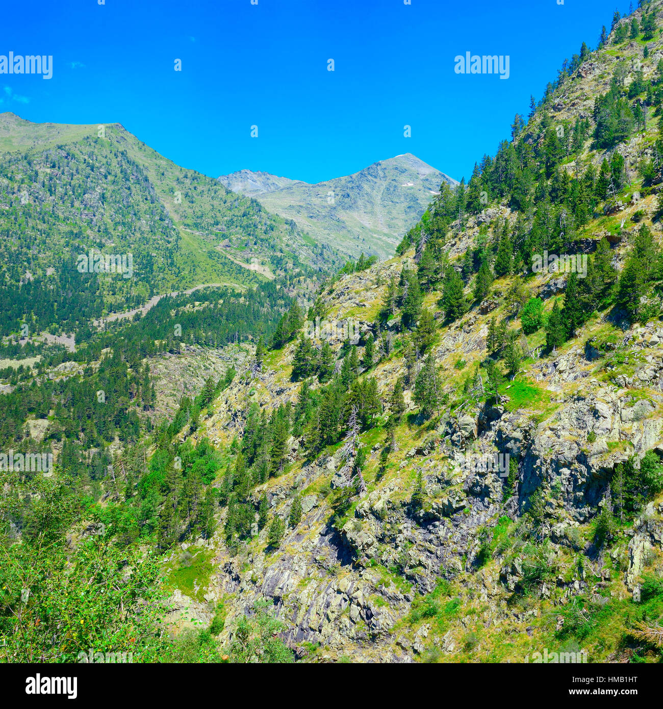 Mountains covered with forest and blue sky Stock Photo - Alamy