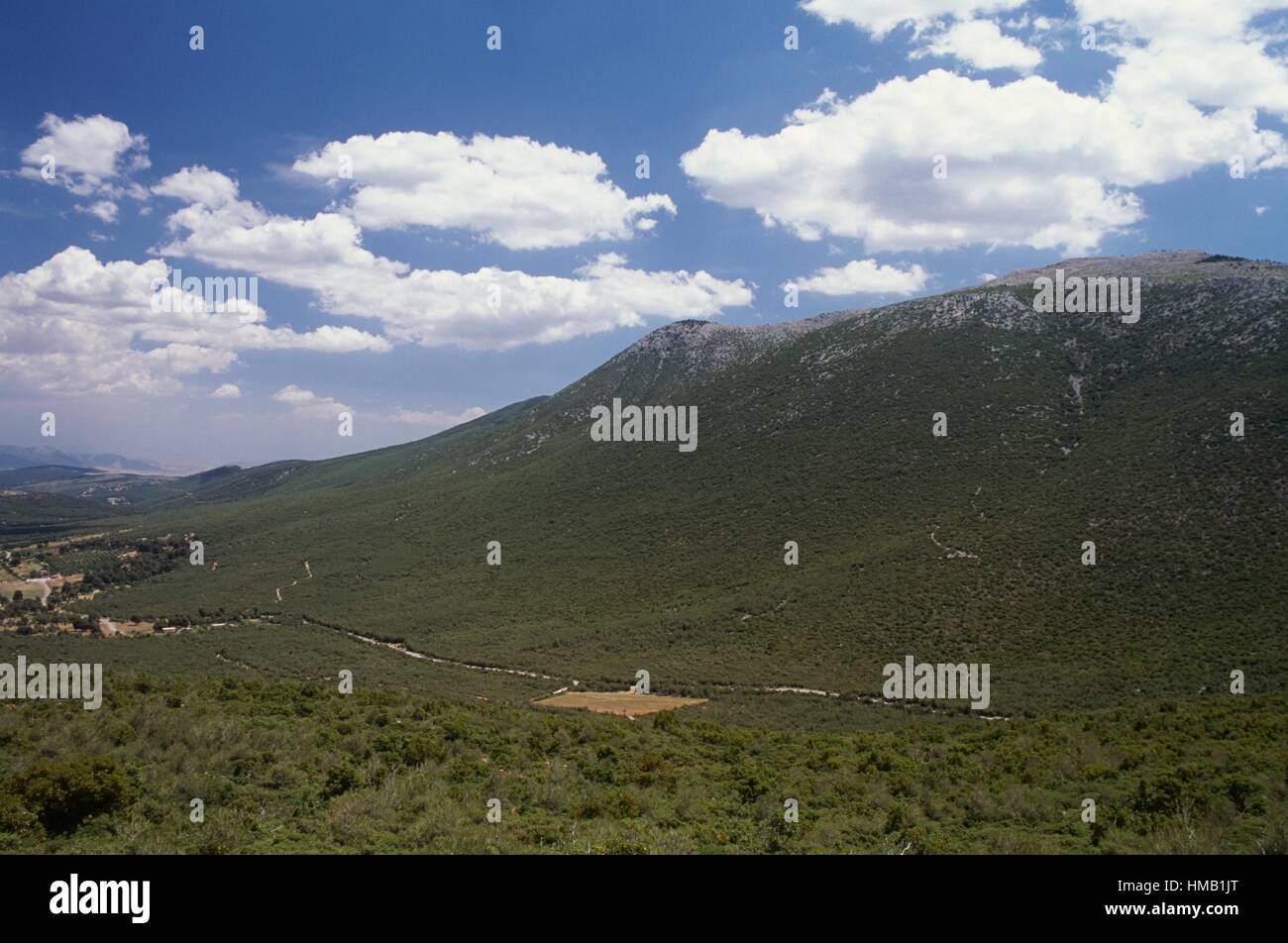 Mount Cithaeron, Greece. Stock Photo