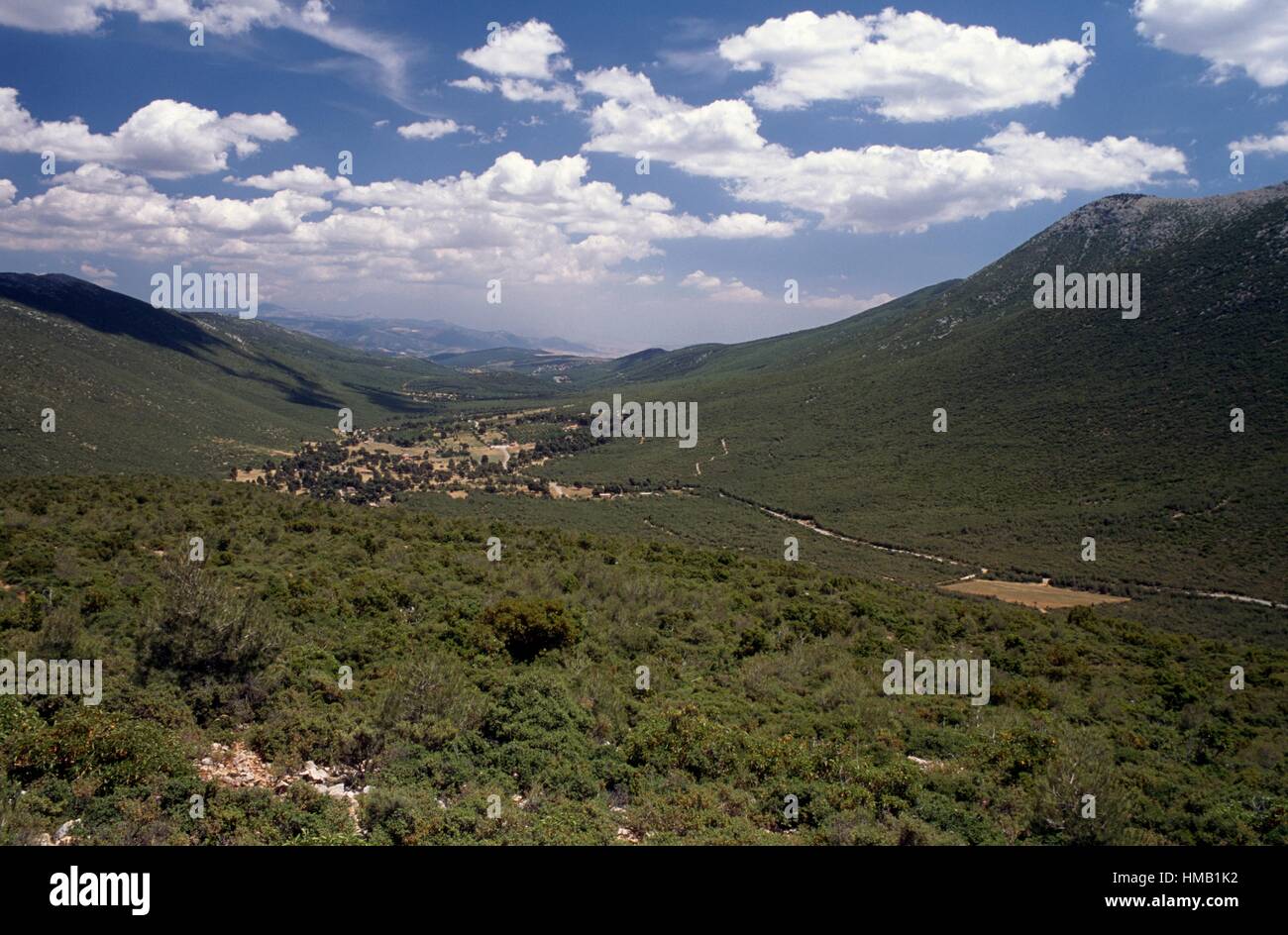 Countryside near Mount Cithaeron, Greece. Stock Photo