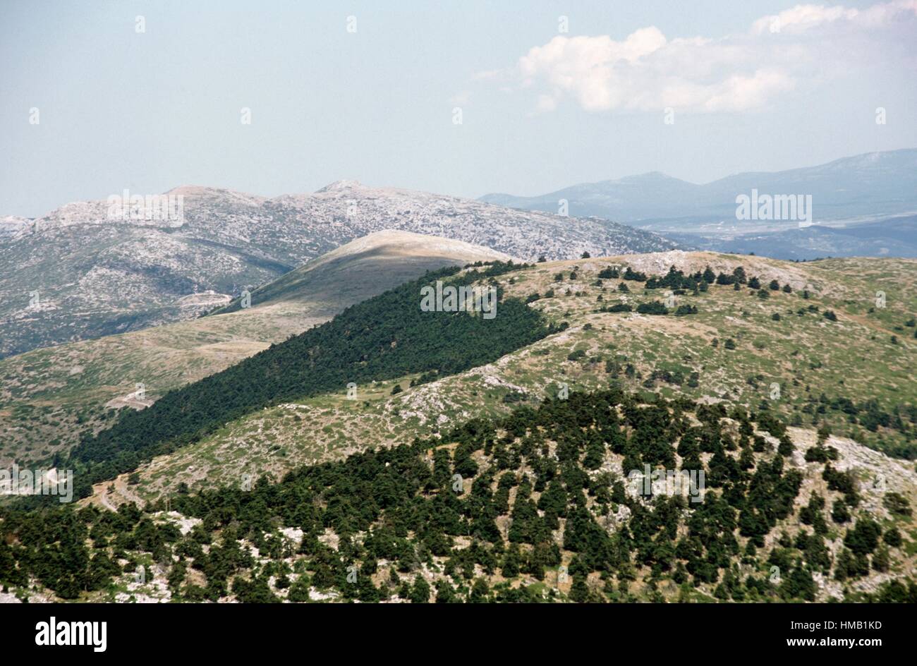 Mount Cithaeron, Greece. Stock Photo