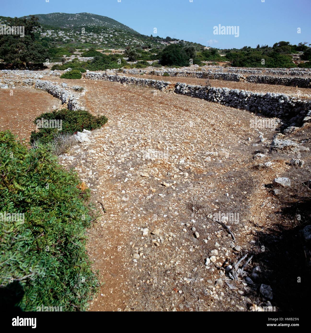 Land plots bounded by dry stone walls, Lefkada island, Ionian islands, Greece. Stock Photo