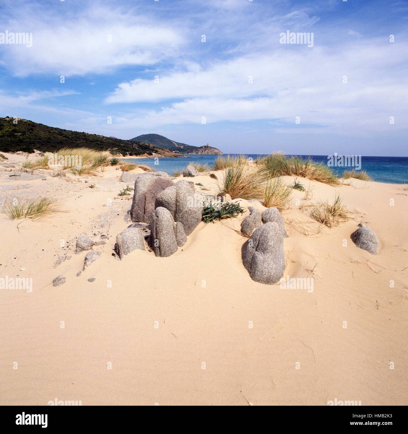 Sand Dunes And Vegetation On The Beach Of Chia Near Domus