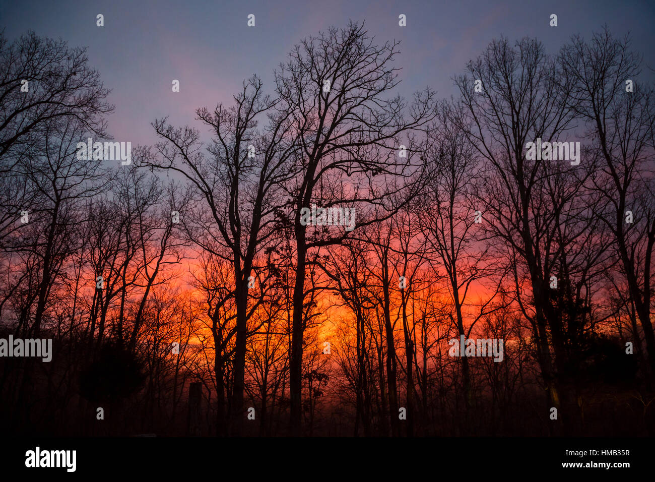 Olive Hill, Kentucky Sunrise on a winter morning at Carter Caves