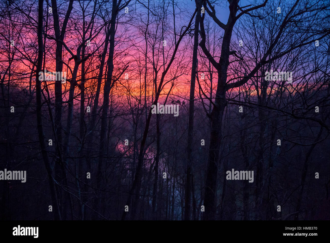Olive Hill, Kentucky Sunrise on a winter morning at Carter Caves