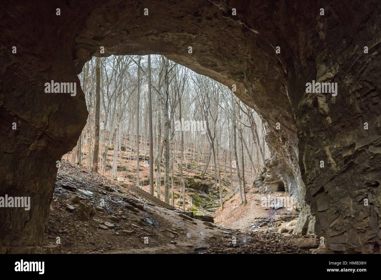 Olive Hill, Kentucky - Smoky Bridge, a natural stone bridge, at Carter Caves State Resort Park. The park has more than 20 caves and natural bridges. Stock Photo