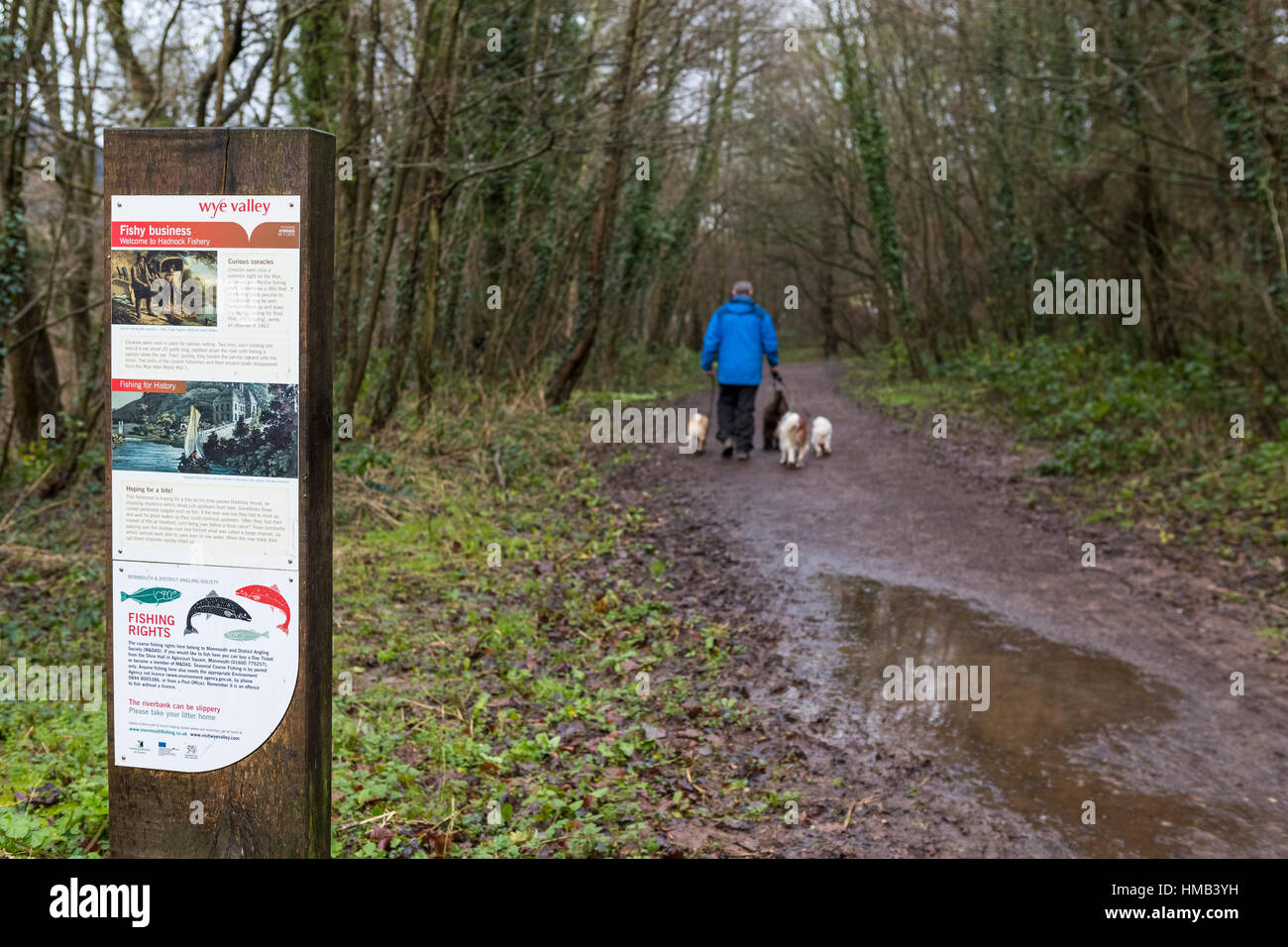 Direction and information signs at the fishery car park for Hadnock Halt trail, Forest of Dean. Stock Photo