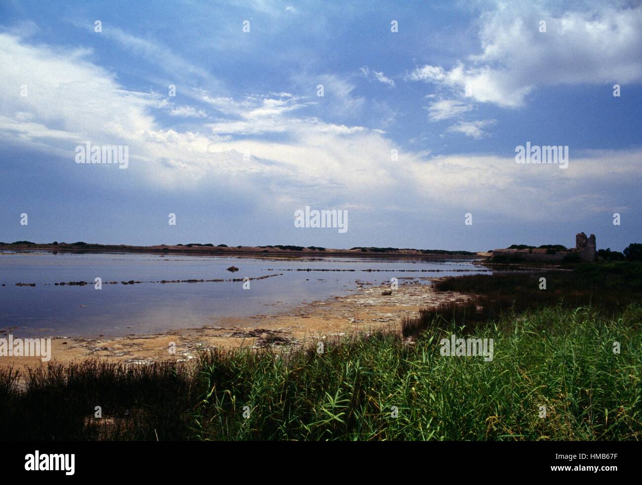 A section of marshland near Porto Cesareo, Apulia, Italy. Stock Photo