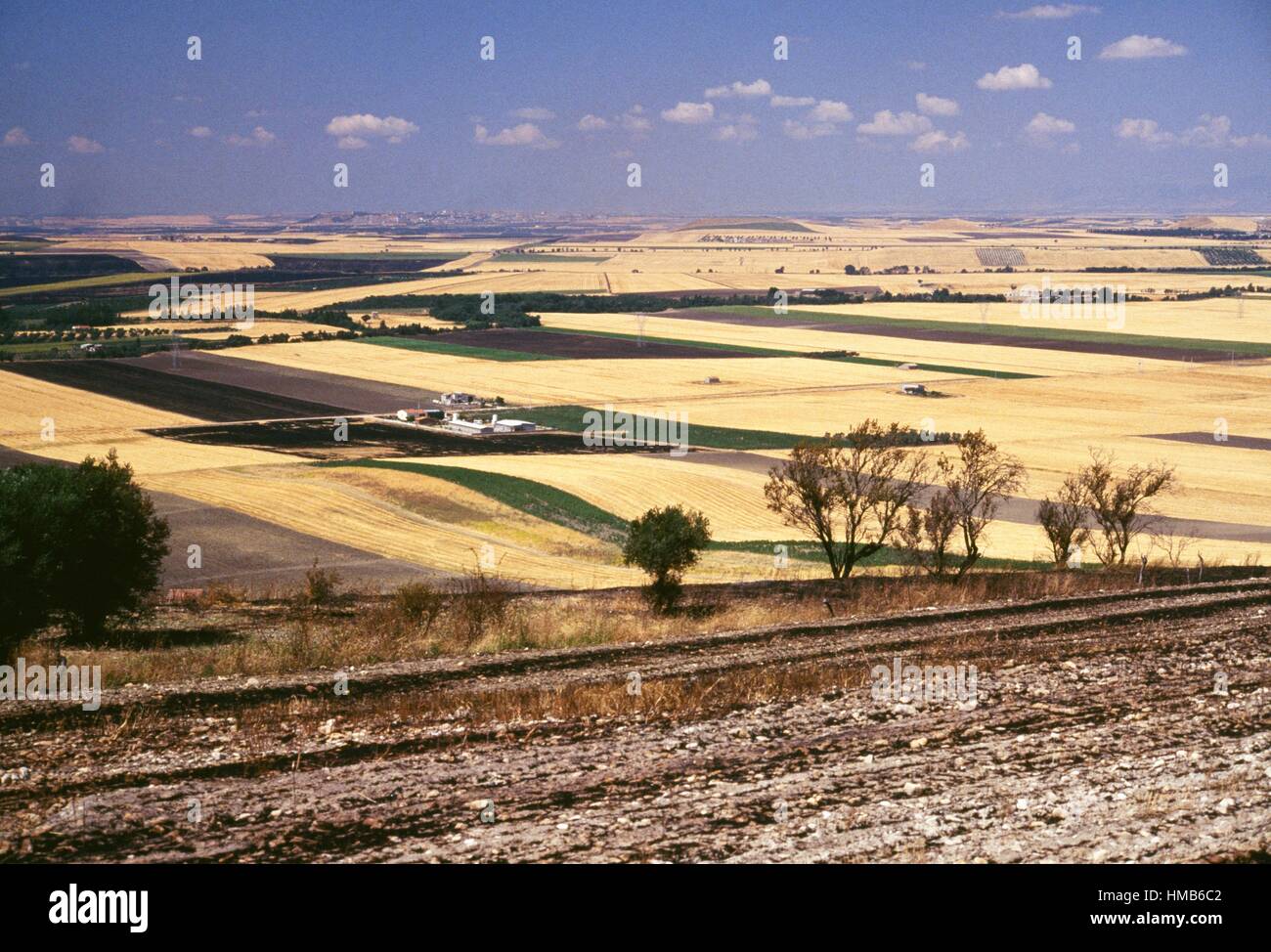Landscape with cultivated fields on the Tavoliere delle Puglie plain, Apulia, Italy. Stock Photo