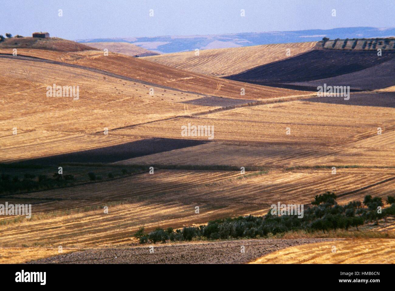 Landscape with cultivated fields on the Tavoliere delle Puglie plain, Apulia, Italy. Stock Photo