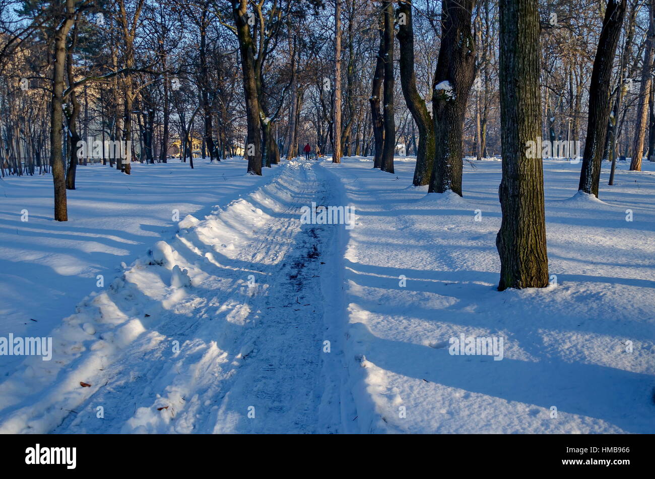 Shovel recently wintertime walk in park, Sofia, Bulgaria Stock Photo