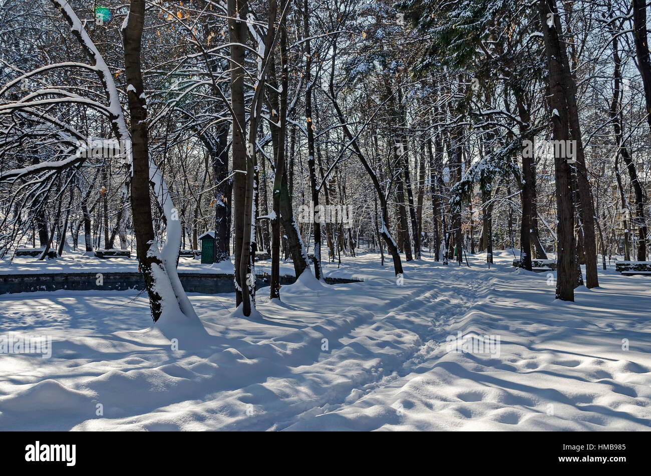 Shovel recently wintertime walk in park, Sofia, Bulgaria Stock Photo