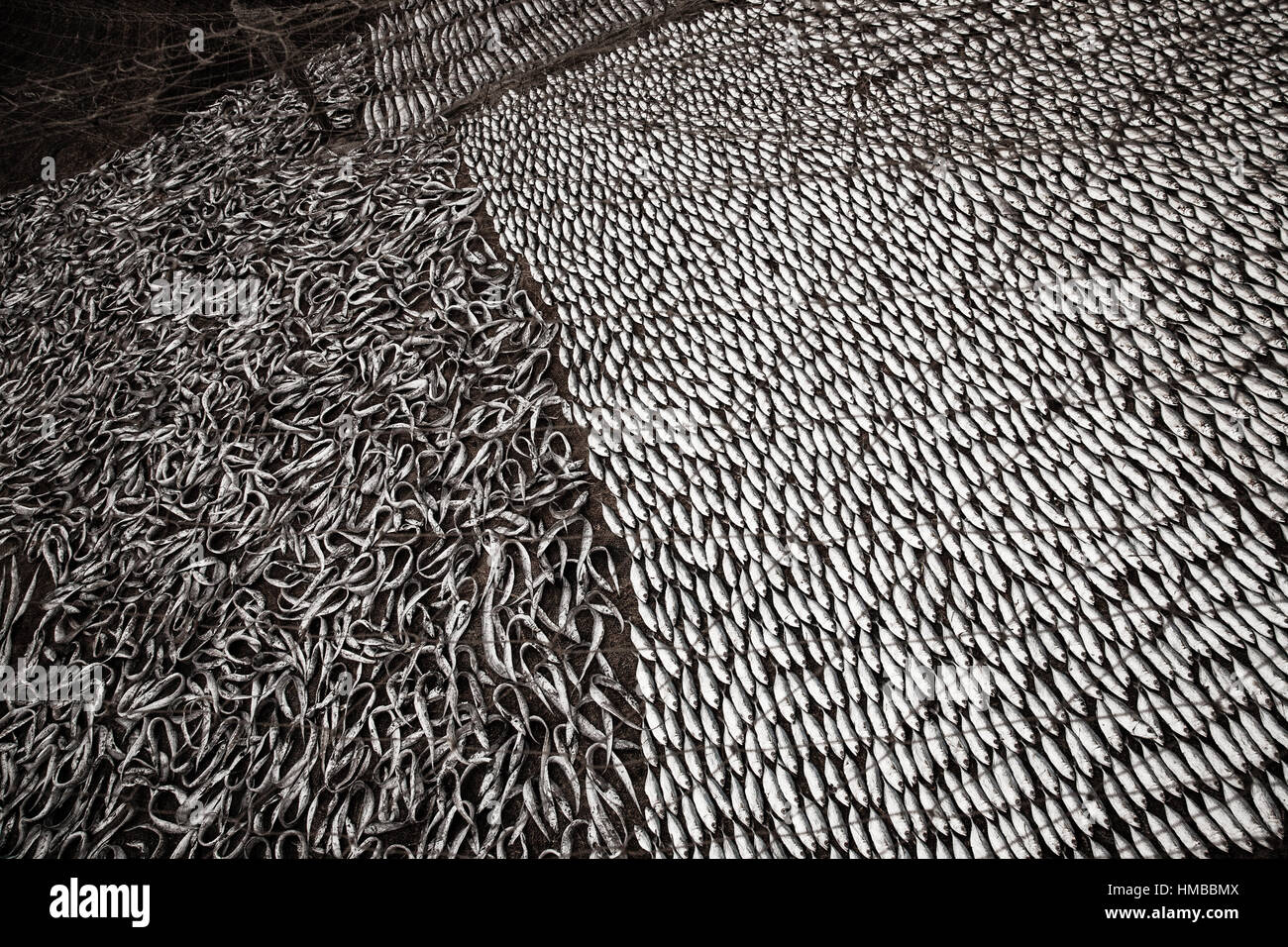 India Goa Fish black white monochrome pattern Stock Photo Alamy