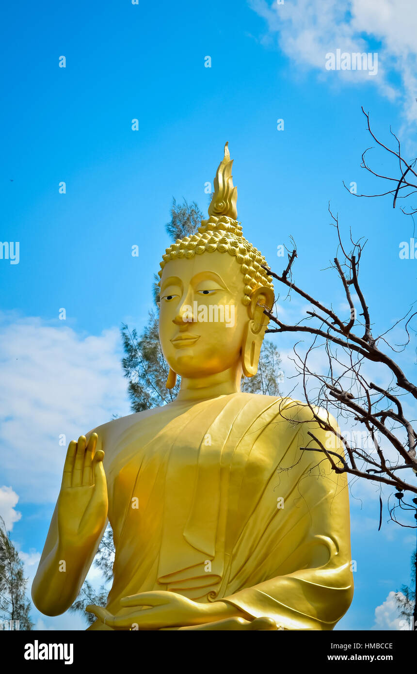 A biggest Buddha in Thailand Stock Photo Alamy