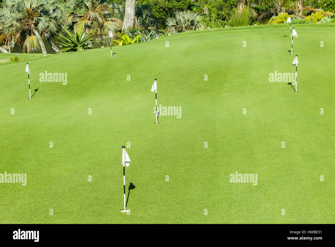 Golf course practice putting green flag sticks summer sporting venue