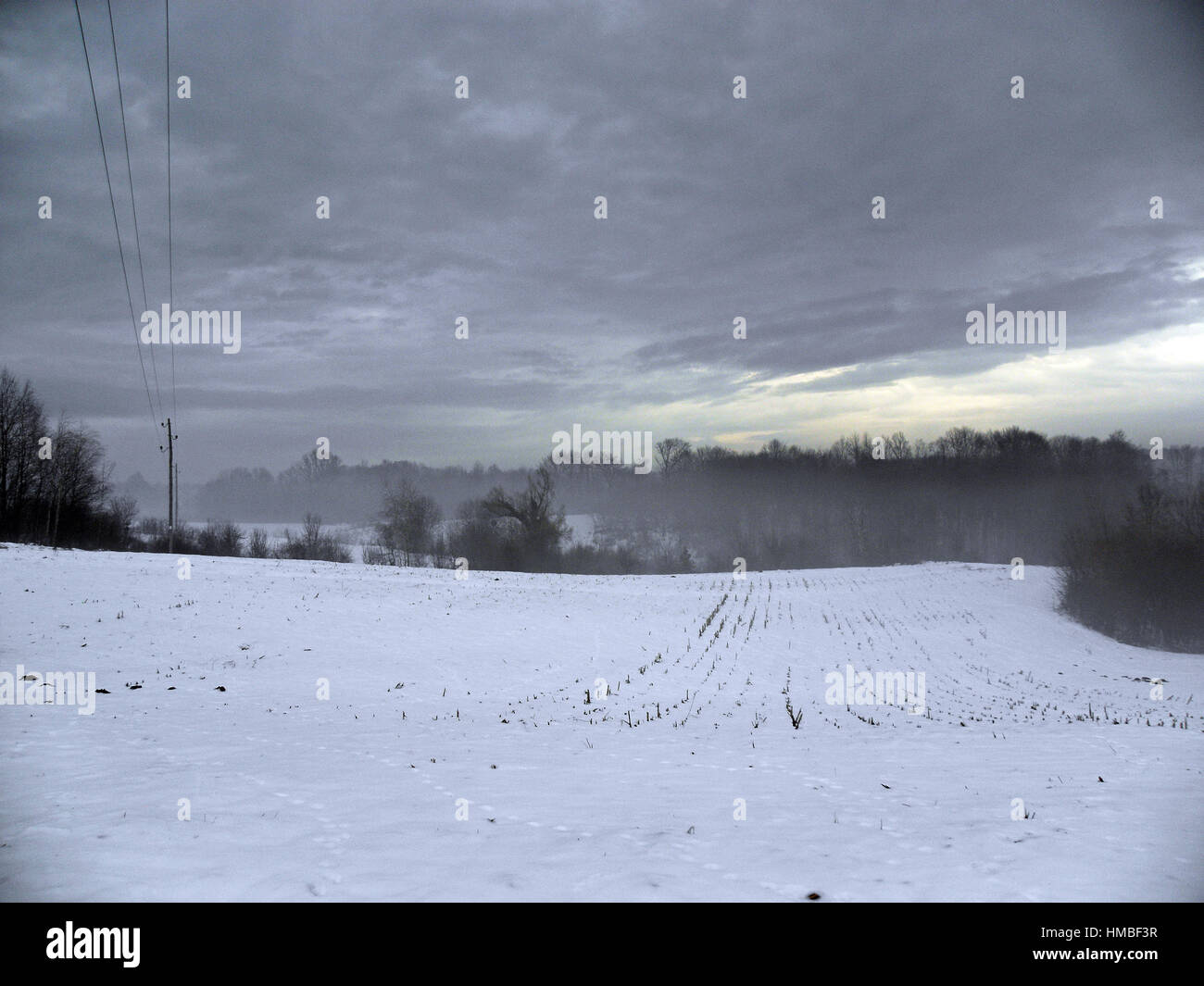 End of winter in the countryside,Croatia,Europe,6 Stock Photo