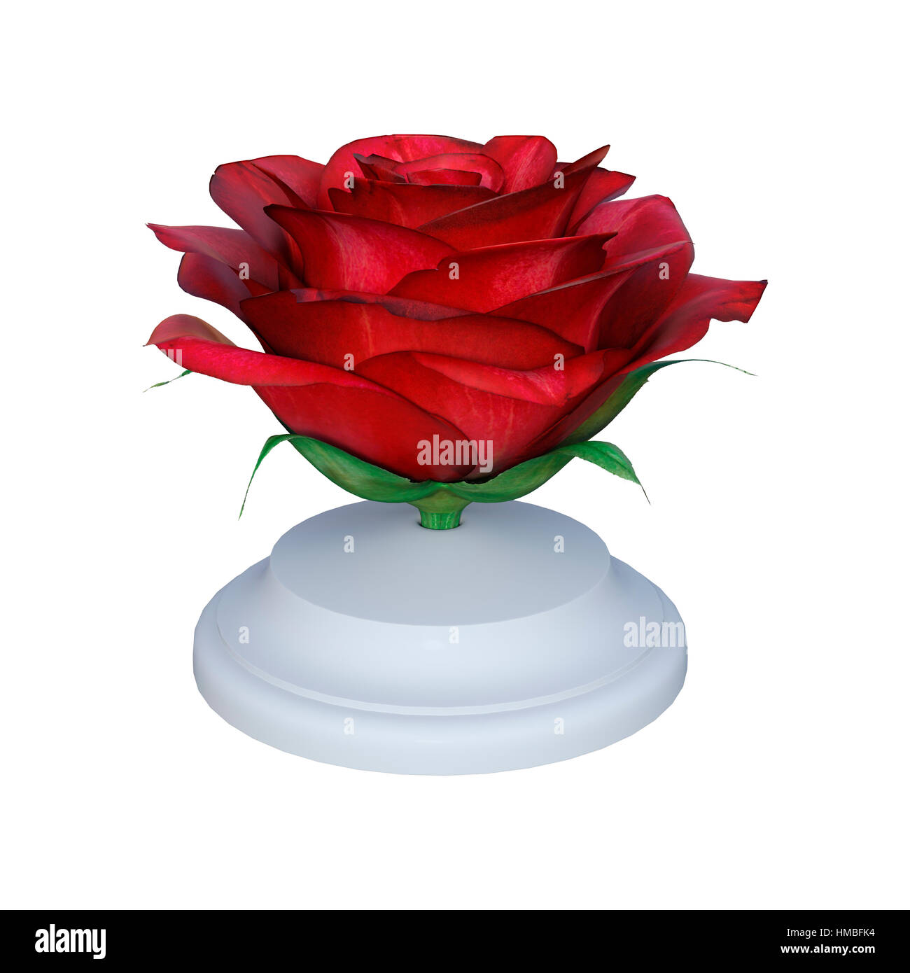3D rendering of a red rose isolated on white background Stock Photo - Alamy