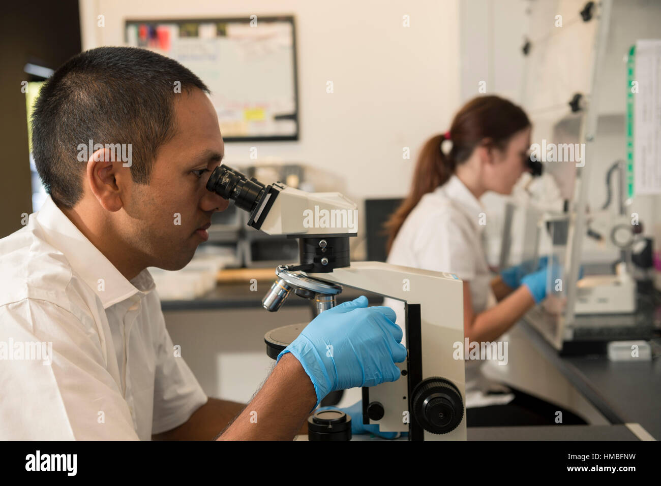 health and safety lab technicians check buildings and property for