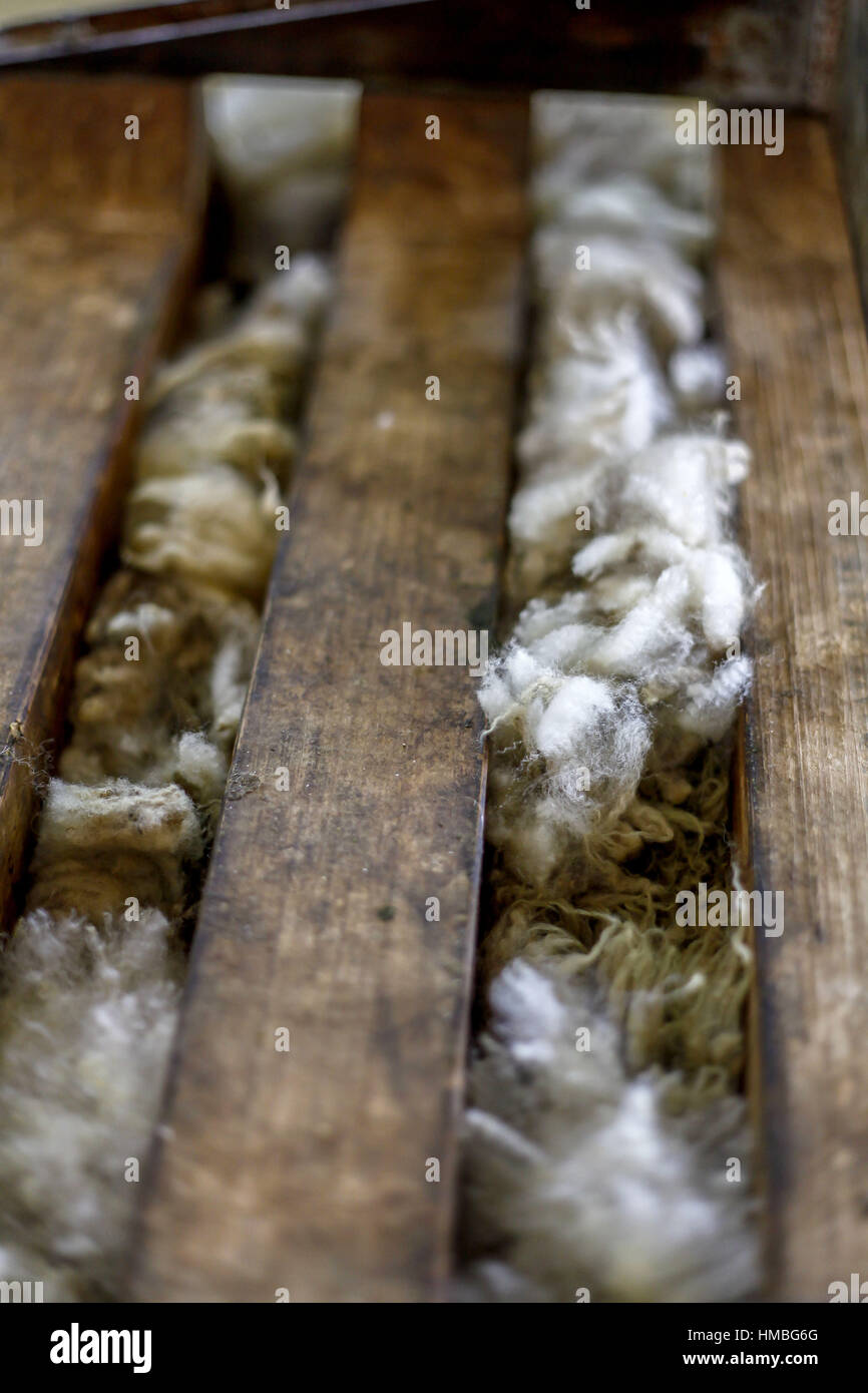 Small town of Te Kuiti (Waikato Region - New Zealand): sheep shearing. Stock Photo