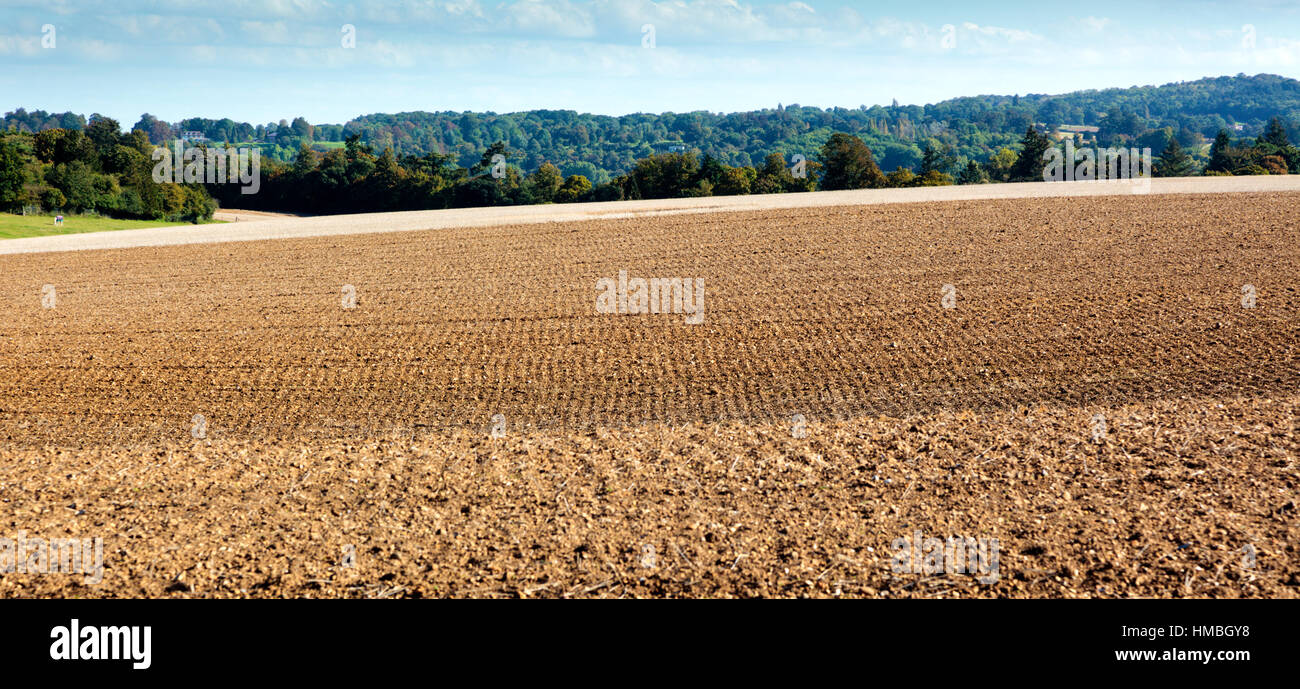 Multi-coloured and patterned ploughed fields in the autumn in the Chiltern Hills Stock Photo