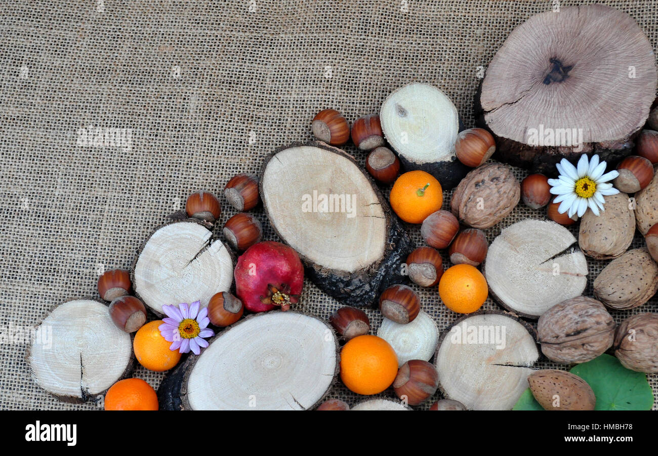 Abstracto con maderas, naranjas, granada, nueces y avellanas Stock Photo