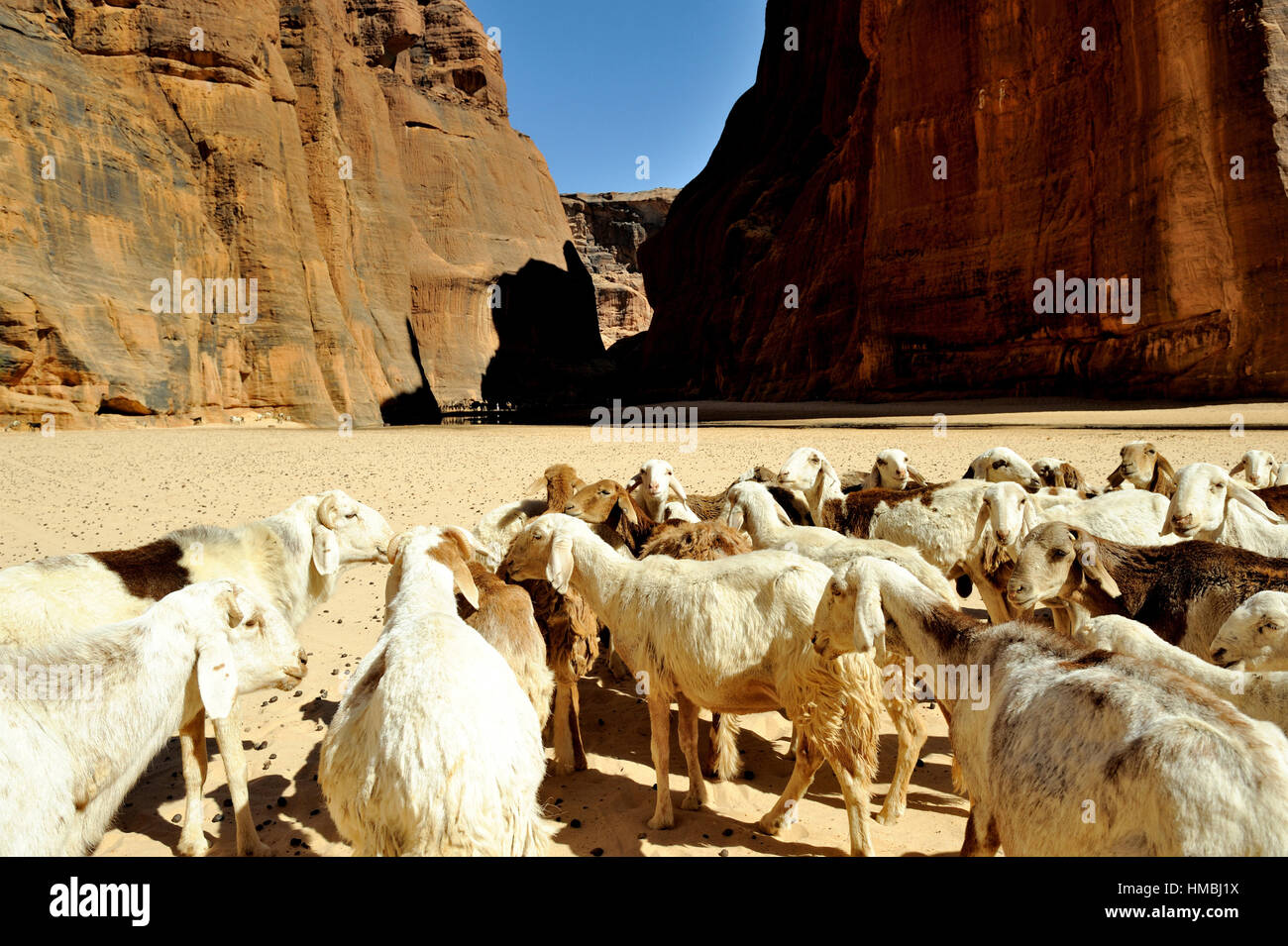 Chad: the Ennedi Plateau Stock Photo