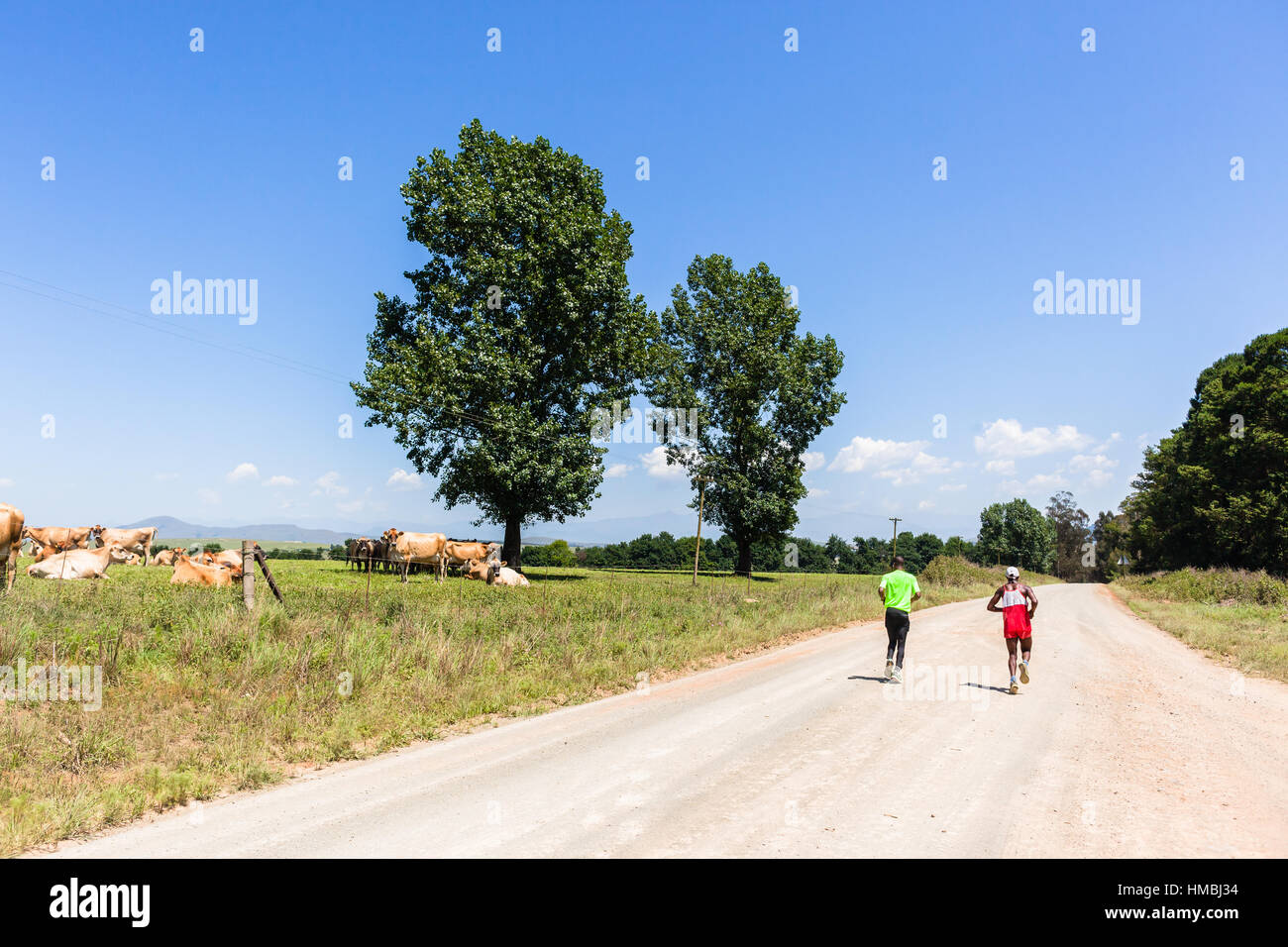 Marathon Runners training running rural mountain farmlands dirt road . Stock Photo