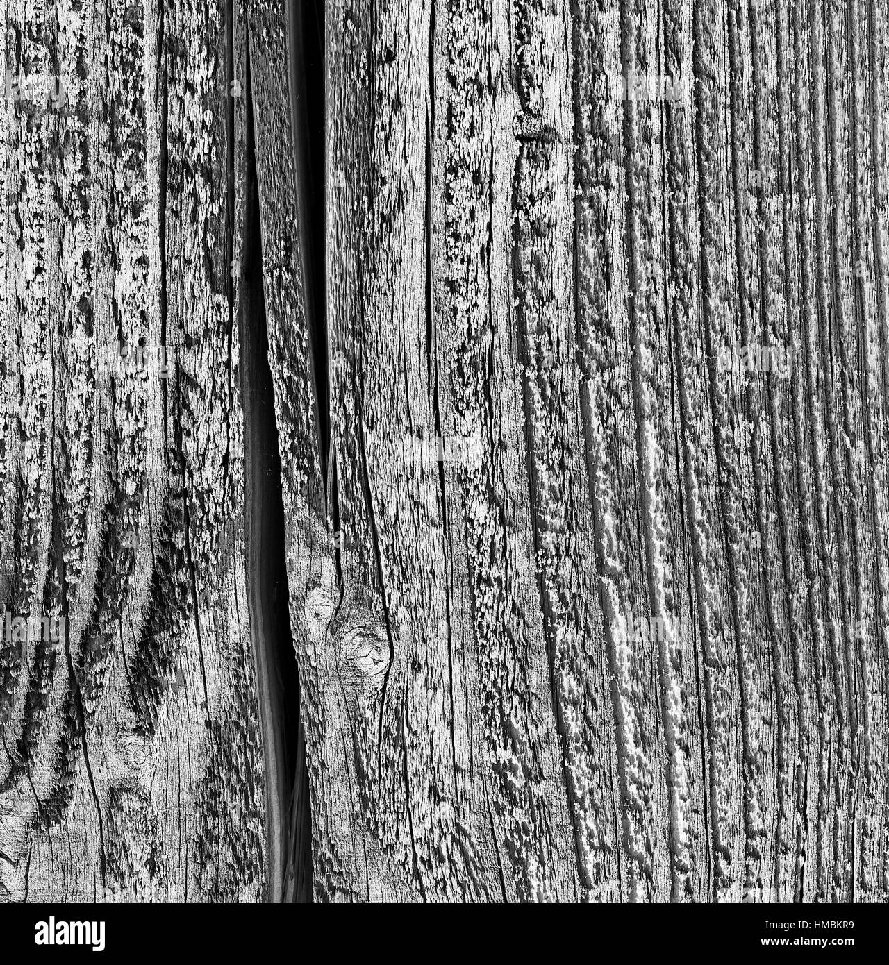 High resolution picture of natural wood background, white texture Stock