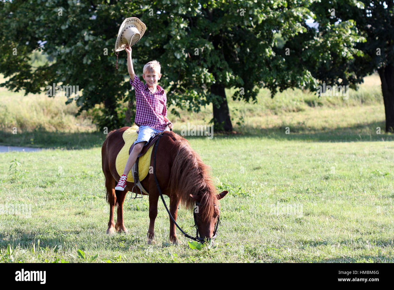 happy boy riding pony horse Stock Photo Alamy
